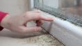 Spotting Mold: Signs and Causes