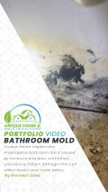 Bathroom Mold